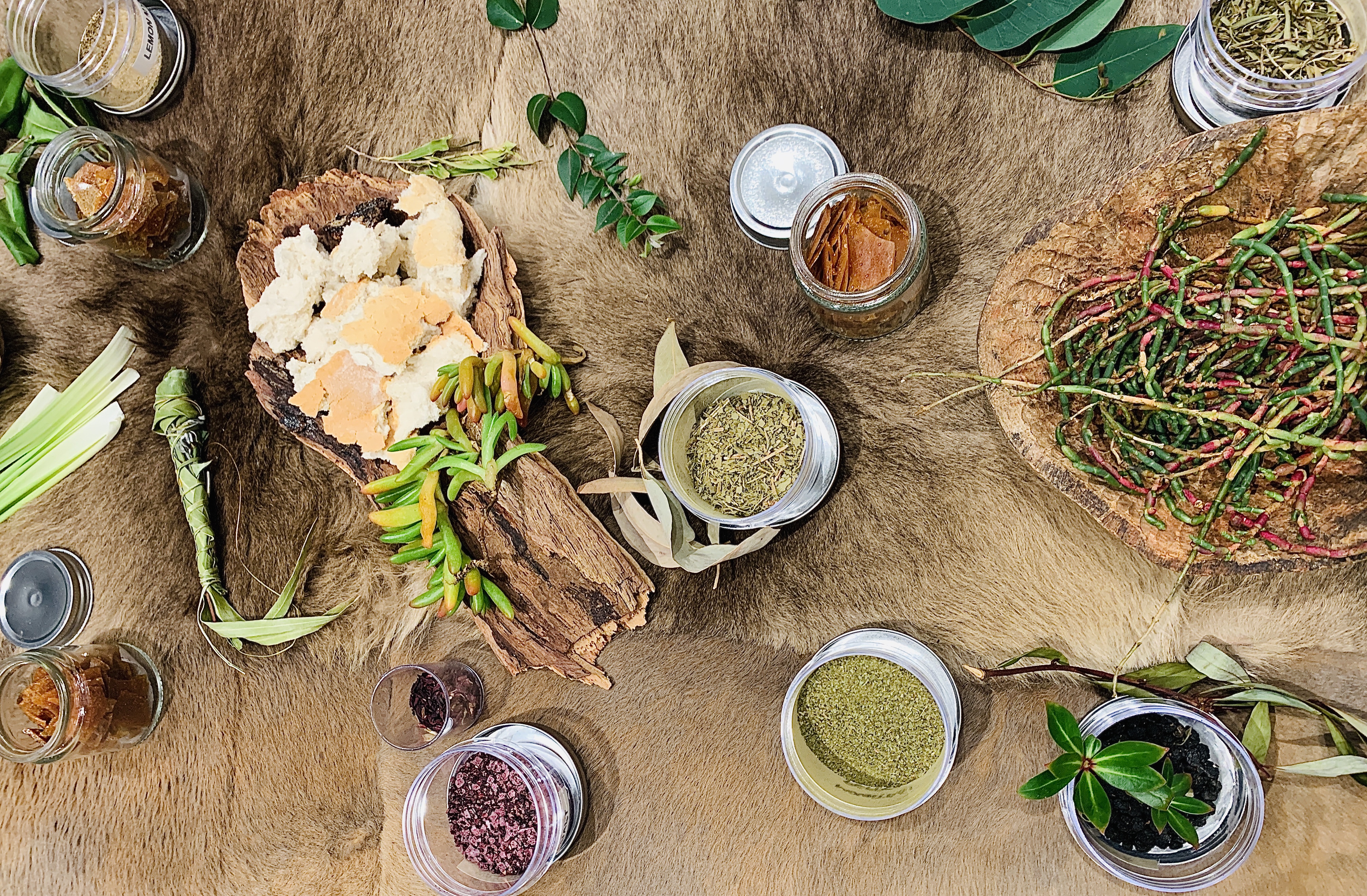 Bush Tukka with Cassie Leatham project image