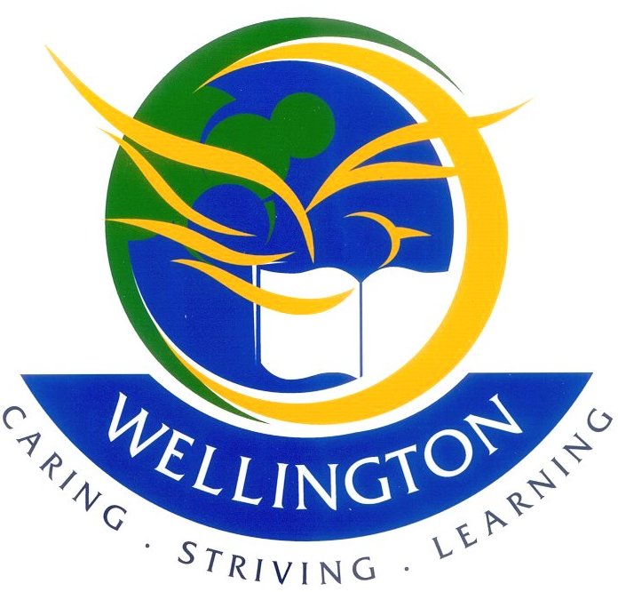 Wellington Secondary School project image
