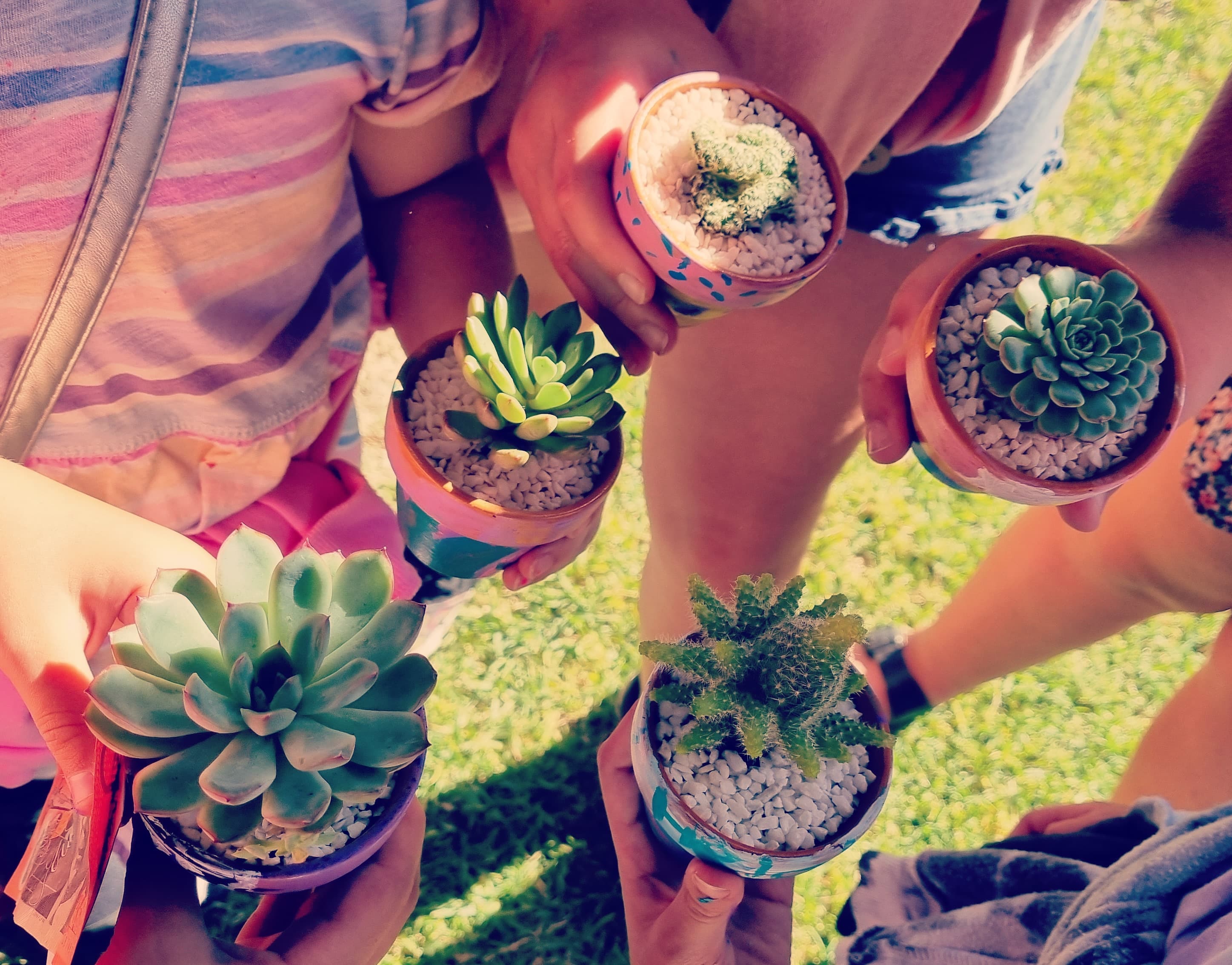 Custom Cacti project image
